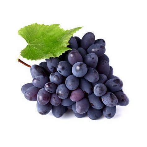 Purple Grapes at Rs 50/kilogram | अंगूर in Nashik | ID: 15731619697