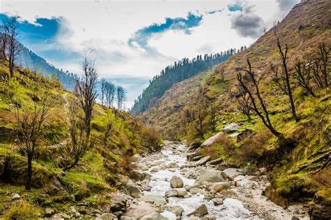 Chail Wildlife Sanctuary - Rakkh Patrika