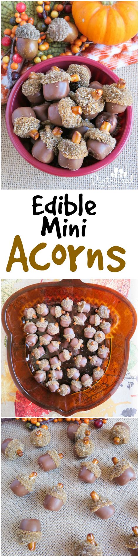 Adorable, simple and soooo yummy! These edible mini acorns are almsot too cute to eat! They're ...