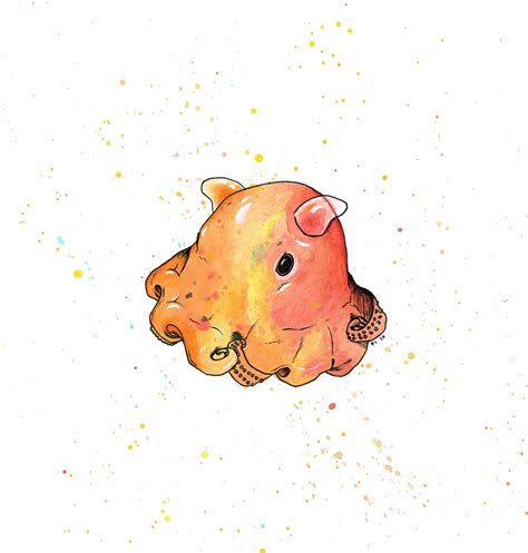 Dumbo Octopus Print - Etsy