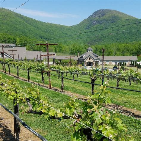 Yonah Mountain Vineyards named one of Georgia’s 'Clean... | AccessWDUN.com