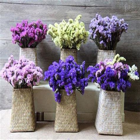 Limonium Sinuatum Seeds — Jack Seeds