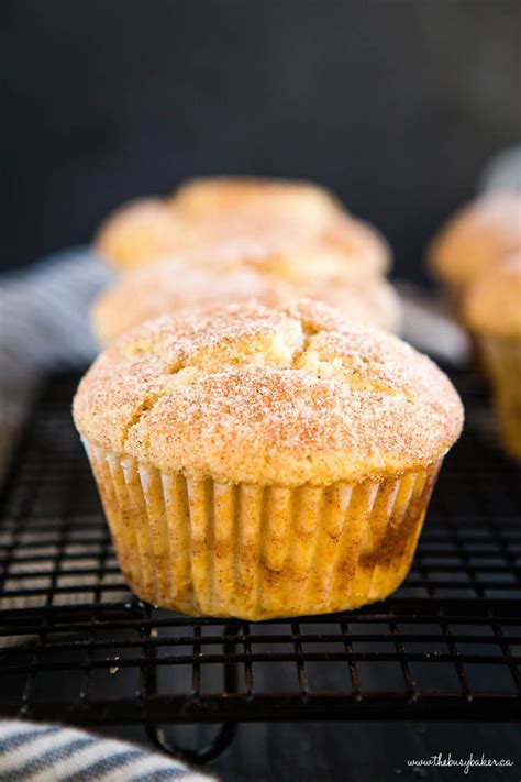 Cinnamon Sugar Muffins {Easy Muffin Recipe} - The Busy Baker