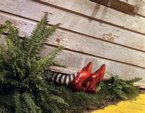 The Wizard of Oz - Wicked Witch of The East's Feet | projects to do ...