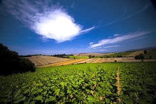 Tuscany country | On EXPLORE 03 December | alessandro silipo | Flickr