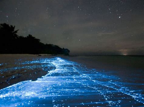 The Glowing Bioluminescent Mosquito Bay in Puerto Rico | The BackPackers