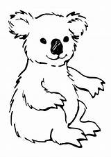 Free Printable Koala Coloring Pages For Kids  Animal Place sketch template