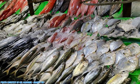 Isda suplay lolobo sa pag-awat ng Palasyo sa BFAR order