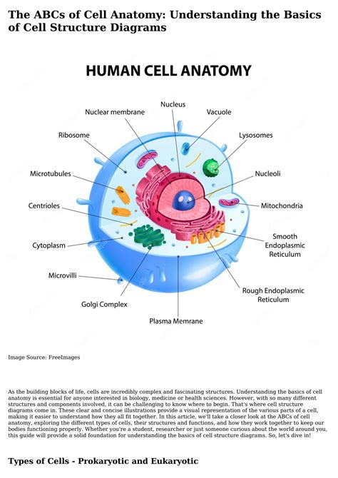 SOLUTION: The abcs of cell anatomy understanding the basics of cell ...