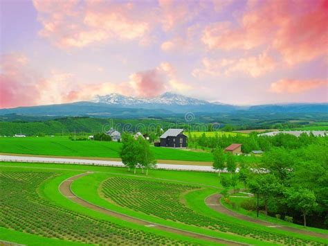 Morning on the Farm stock photo. Image of agriculture - 4243568