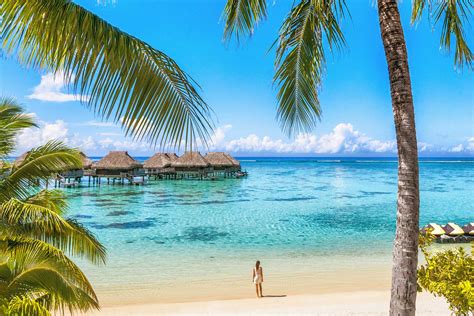 Luxury Tahiti beach resort travel tourist walking on Polynesian beach ...