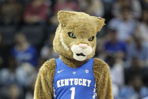 10 New Kentucky Wildcats Mascot Pictures FULL HD 1920×1080 For PC Desktop 2024