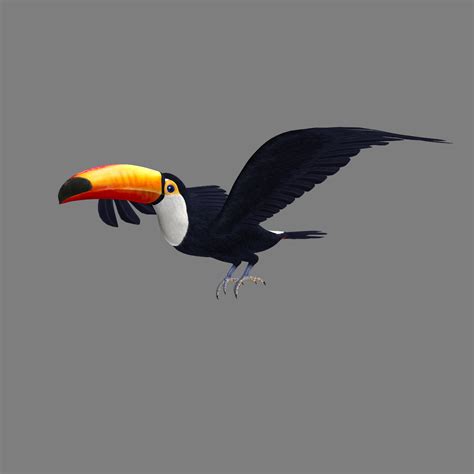 c4d realistic flying toucan