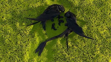 two black birds laying on top of green grass in the middle of an aerial view