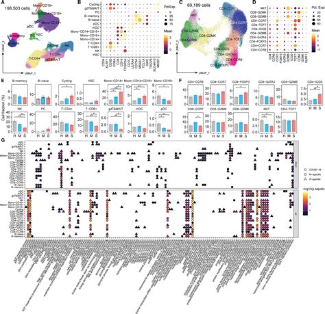 Frontiers | Single-Cell RNA Sequencing Analysis of the Immunometabolic Rewiring and ...