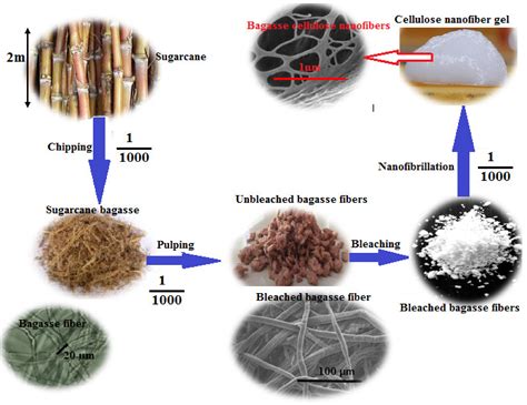 Energies | Free Full-Text | Recent Advances in Cellulose Nanofibers ...