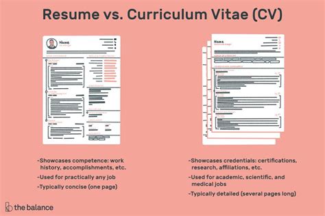 Academic Cv Curriculum Vitae Example For Students - Template For U