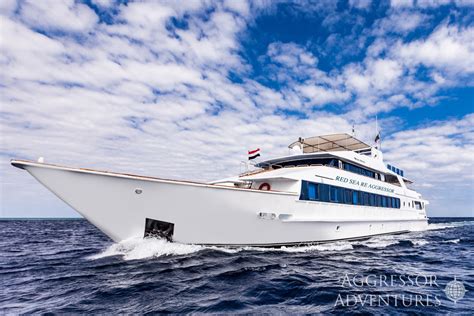 Red Sea RE Aggressor Liveaboard Reviews & Specials - Bluewater Dive Travel