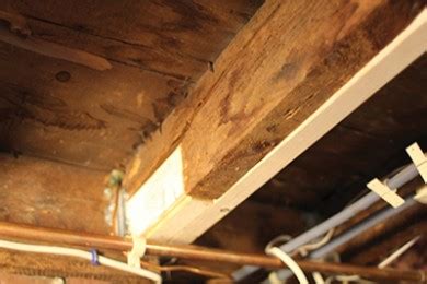 Fix & Replace Damaged Floor Joists - How to Sister a Joist