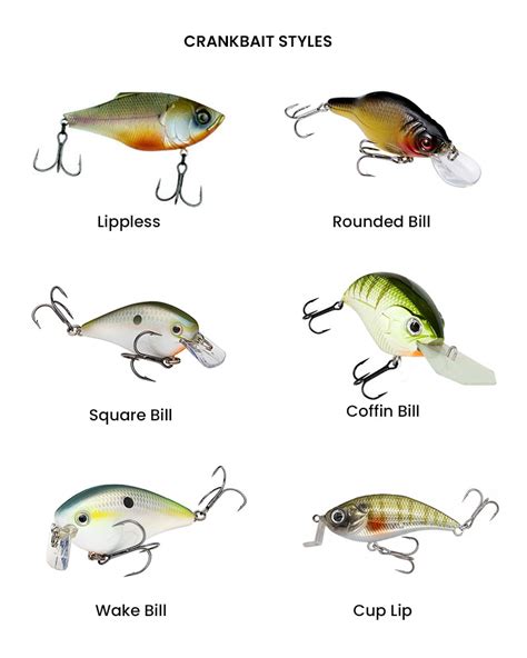 Crankbait Fishing Lures: How to Fish a Crankbait