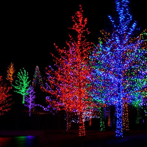 Festival of Lights - American Lifestyle Magazine