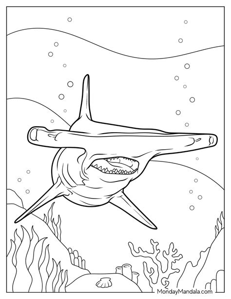 Hammerhead Shark Coloring Pages