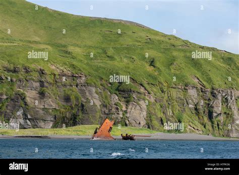 Alaska, Aleutian Island Chain, Rat Islands, Kiska Island, National Historic Landmark for its ...