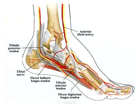 Nerve Entrapment | Nerve Entrapment Treatment | Burning