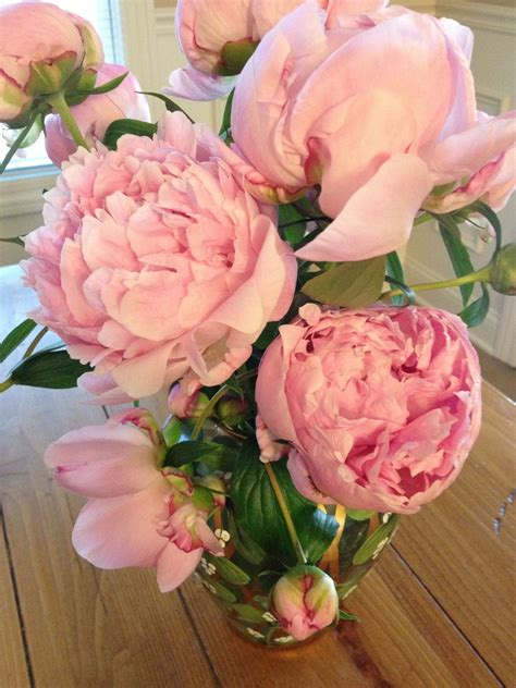 i really want the light pink peonies | Pink peonies, Peonies, Flowers