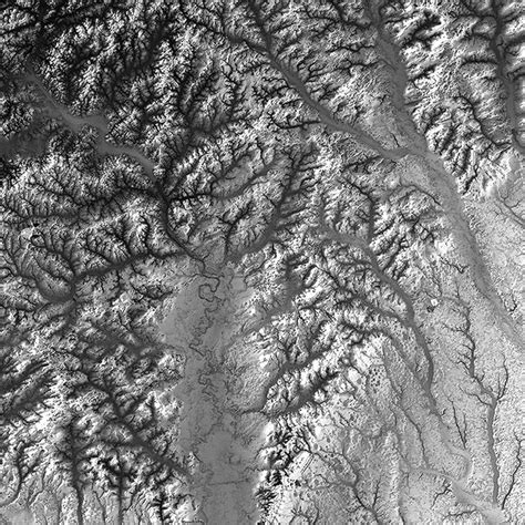 South Carolina Elevation Map | Relief map, Elevation map, South carolina