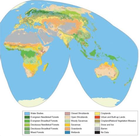 Mapping Global Land Cover by Satellite