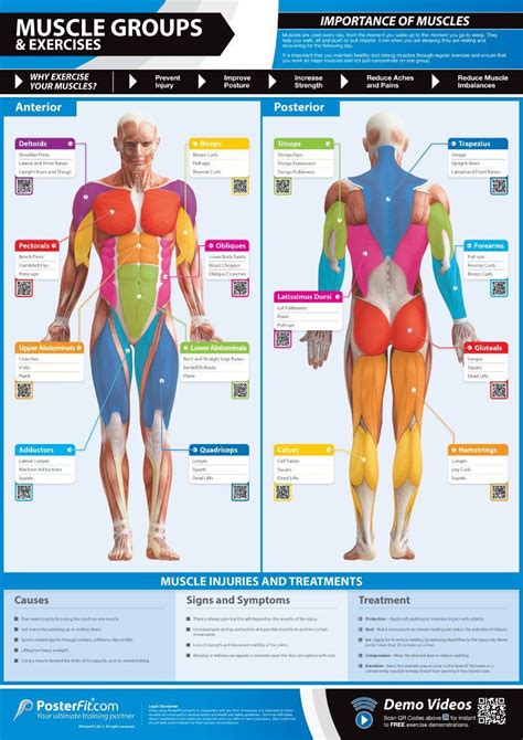 Pin by Your Trainer Will Rider on PDPT @pinterest | Muscle fitness ...