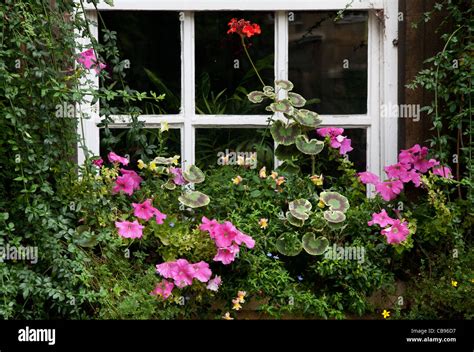 Christ College, Cambridge, UK Stock Photo - Alamy