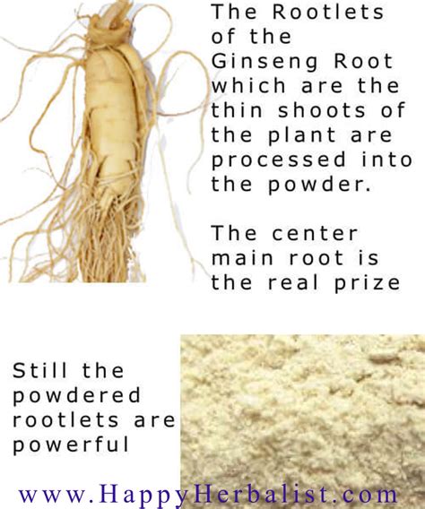 American Ginseng Powder, Panax Quinquefolius