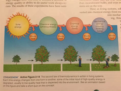 Textbook outlines - AP Environmental Science