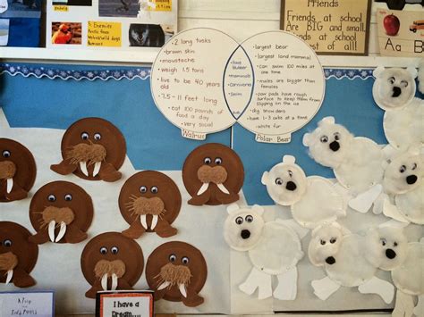 Malibu Mutts-Kthru2inMalibu: Peek In Our Classrooms | Winter animal ...