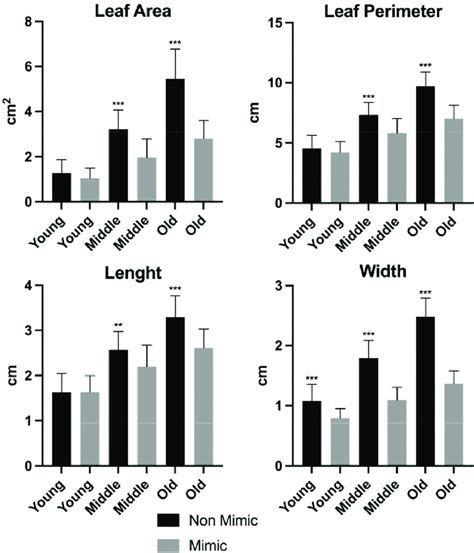 Morphometric analysis of Boquila trifoliolata leaves. Black bars ...