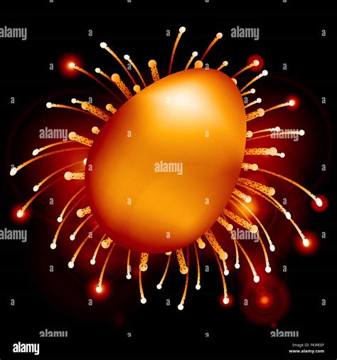 Golden Easter Egg Over Fireworks Background with Lens Flares Stock ...