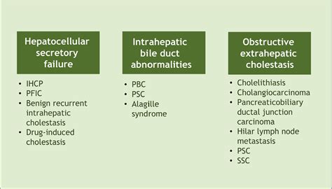 SciELO - Brasil - Cholestatic pruritus: a knowledge update Cholestatic pruritus: a knowledge update