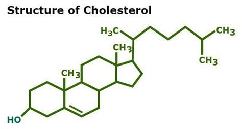 Cholesterol Formula - Structure, Properties, Uses, and FAQs