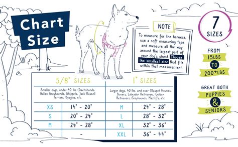 Dog Size Charts for Freedom Harnesses & Collars - 2 Hounds Design