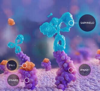 How SAPHNELO Works for Lupus | For HCPs