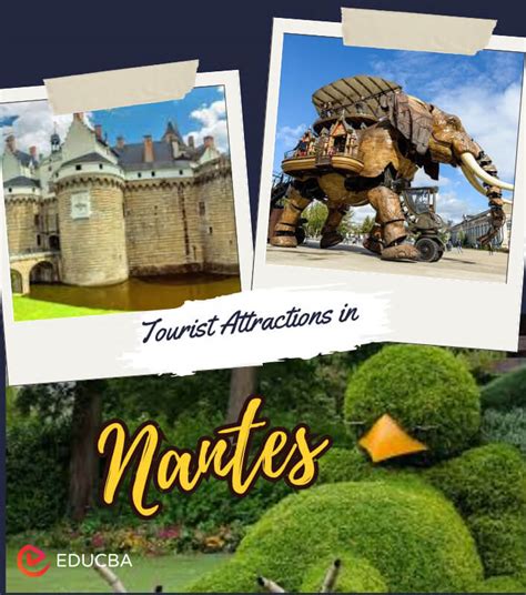 Top 18 Tourist Attractions Making Waves in Nantes in 2024