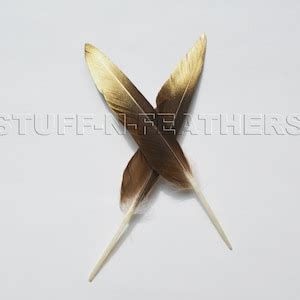 Natural Brown Duck Feathers With GOLD Tip Loose, gold Dust Real Painted Feathers Thanksgiving ...