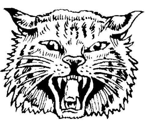 Wildcat clipart black and white, Wildcat black and white Transparent ...