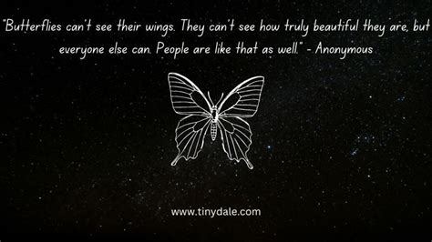 200 Inspirational Butterfly Quotes to Help You Spread Your Wings