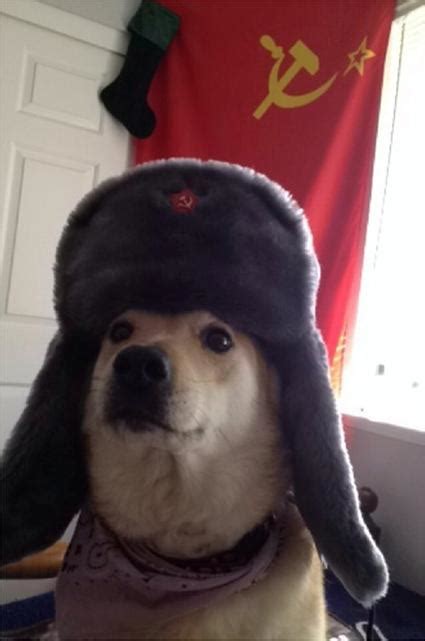 communist dog Blank Template - Imgflip