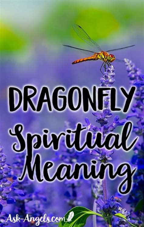 11 Dragonfly Meanings – Understanding Dragonfly Symbolism