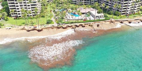 Sidewalk and trees falling into ocean at popular Maui beach, prompting ...