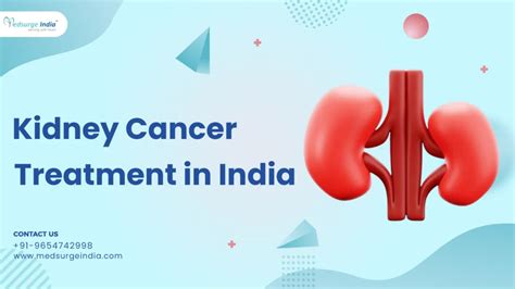 Kidney Cancer Treatment In India | Medsurge India